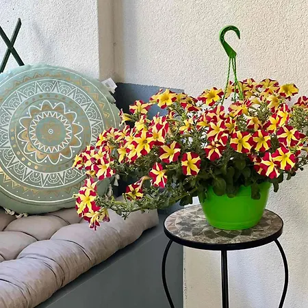 Casa Dell'arte Golos